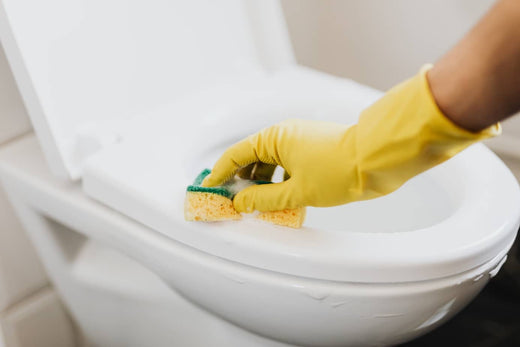 nettoyer-ses-toilettes