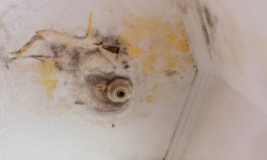 Infiltration d'eau mur assurance