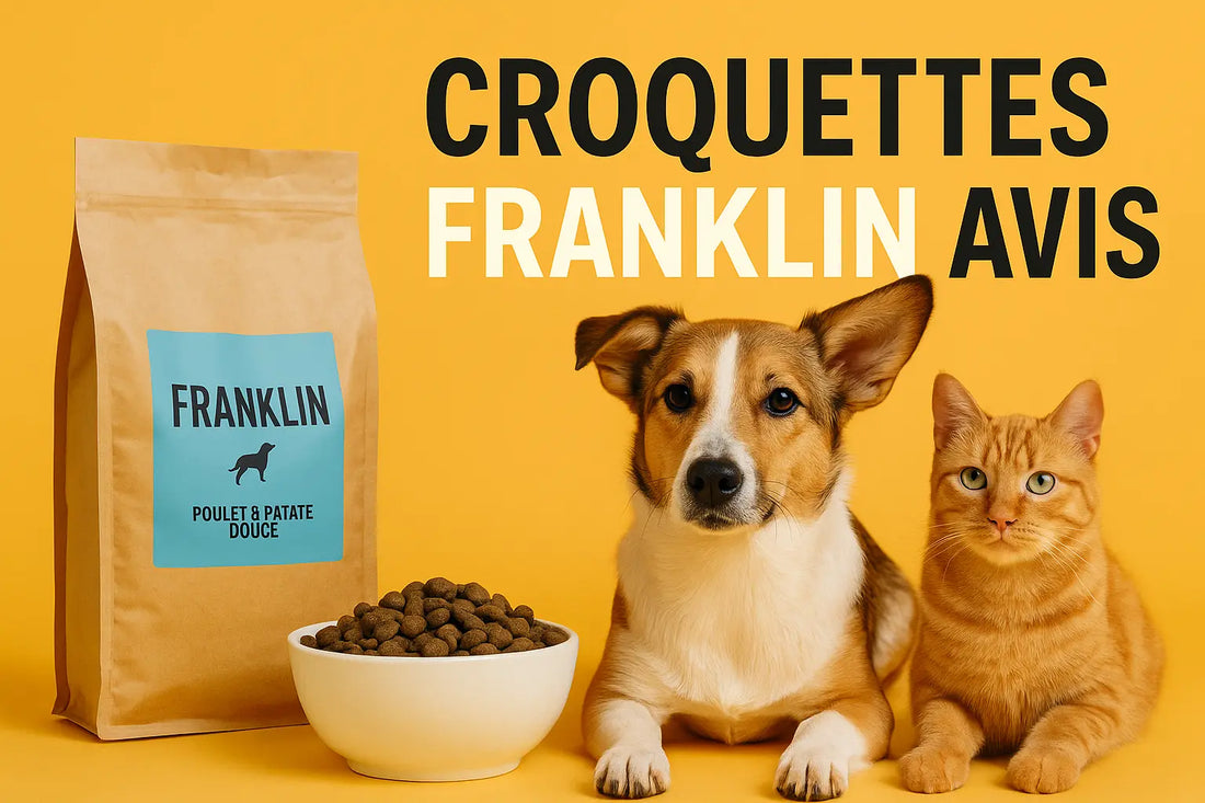 croquettes franklin