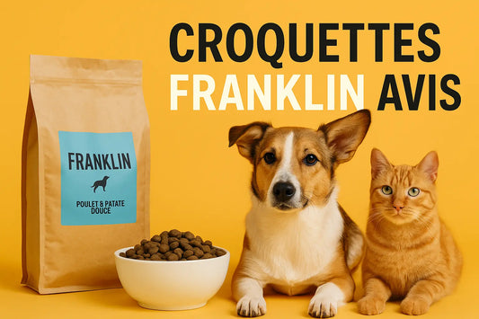 croquettes franklin