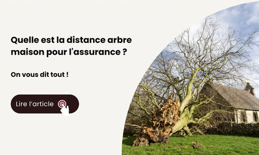 distance arbre maison assurance