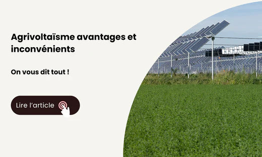agrivoltaïsme avantages et inconvénients