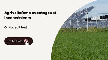 agrivoltaïsme avantages et inconvénients