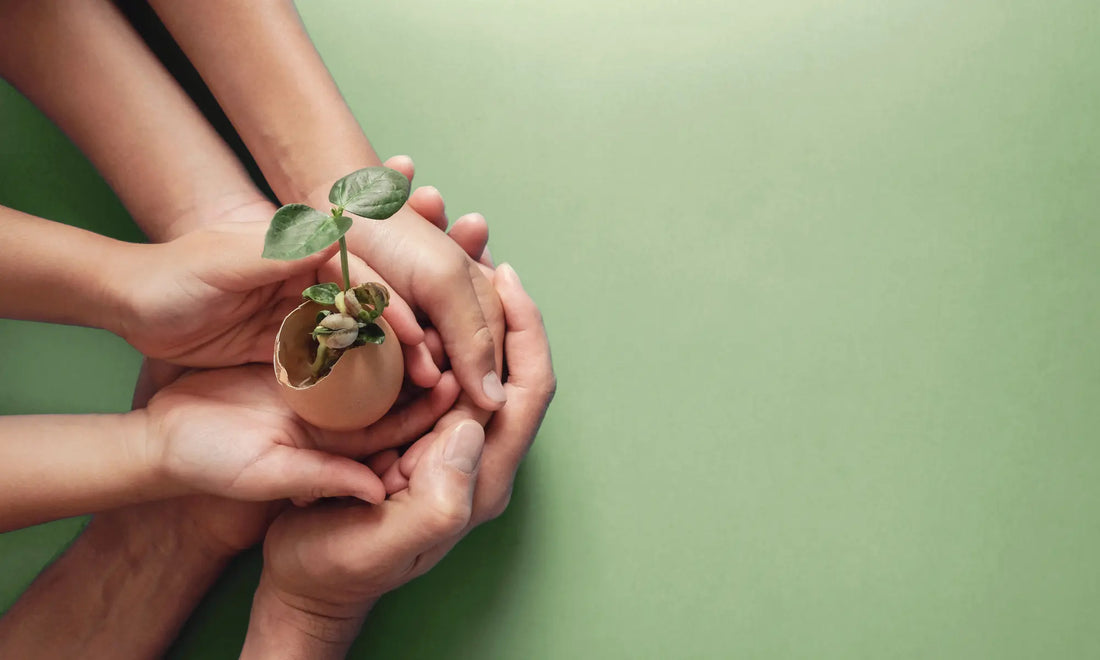 mode de vie éco-responsable