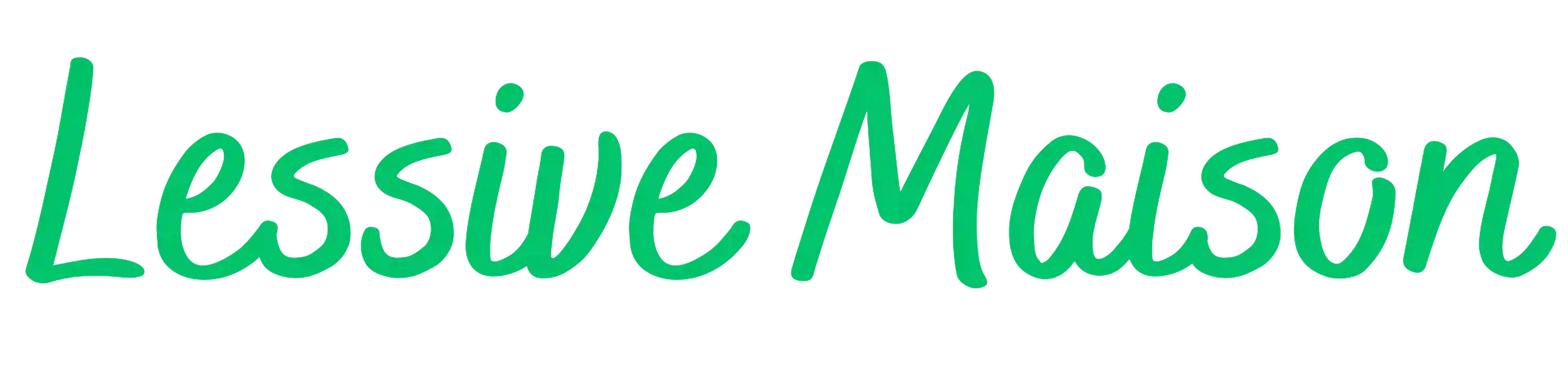 logo lessive maison